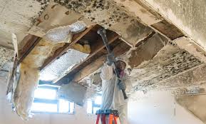 Mold Odor Removal Services in Somers Point, NJ